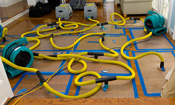 Professional Water Damage Restoration technician working in Dublin, PA